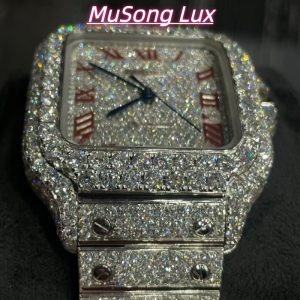 VVS Moissanite Cartier Santos WSSA0009