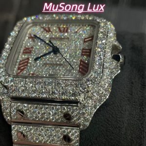 VVS Moissanite Cartier Santos WSSA0009