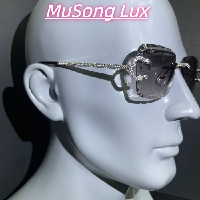 VVS Moissanite Cartier C glasses