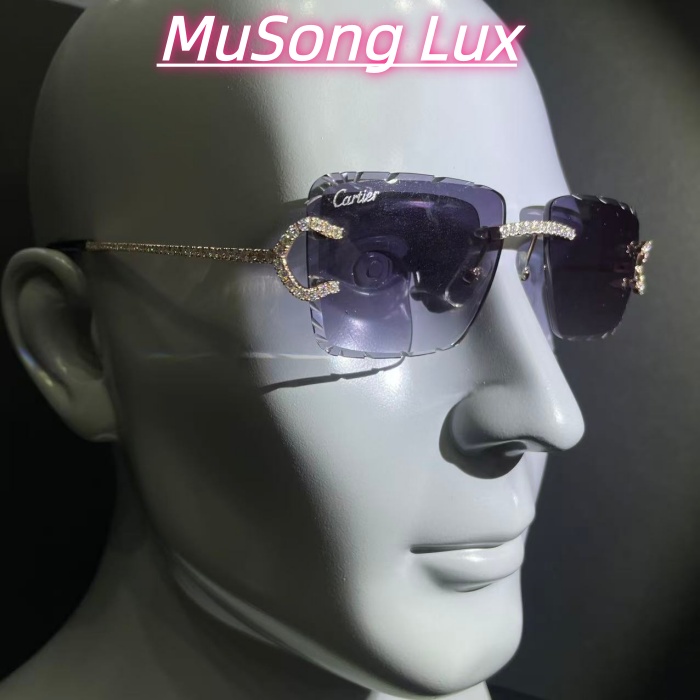 VVS Moissanite Cartier C glasses