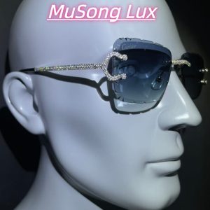 VVS Moissanite Cartier C glasses
