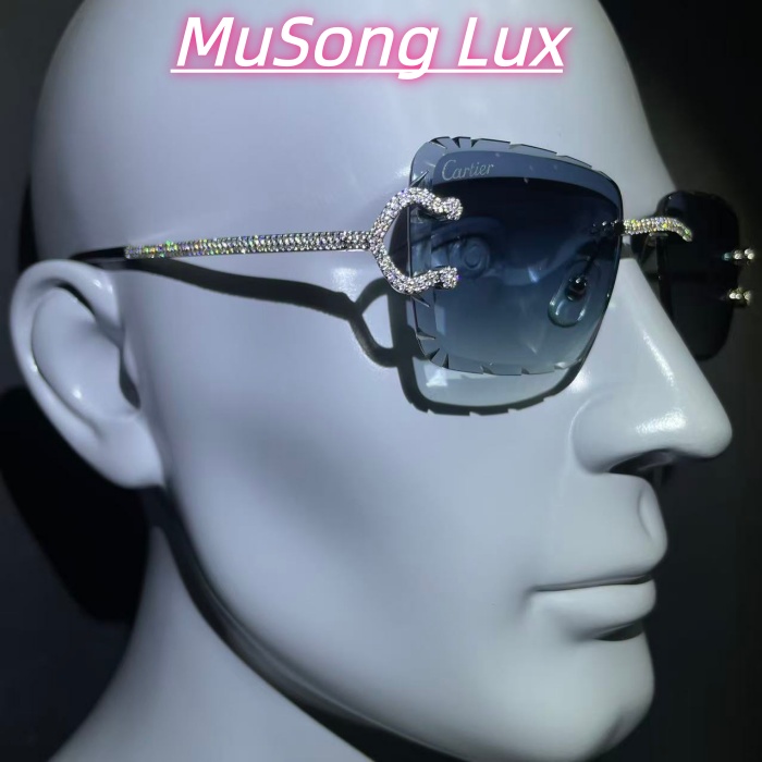 VVS Moissanite Cartier C glasses