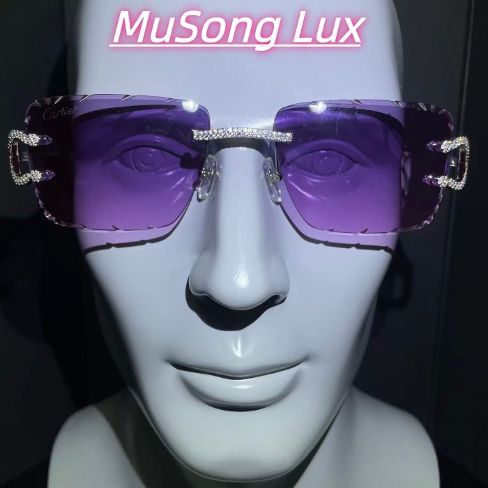 VVS Moissanite Cartier C glasses