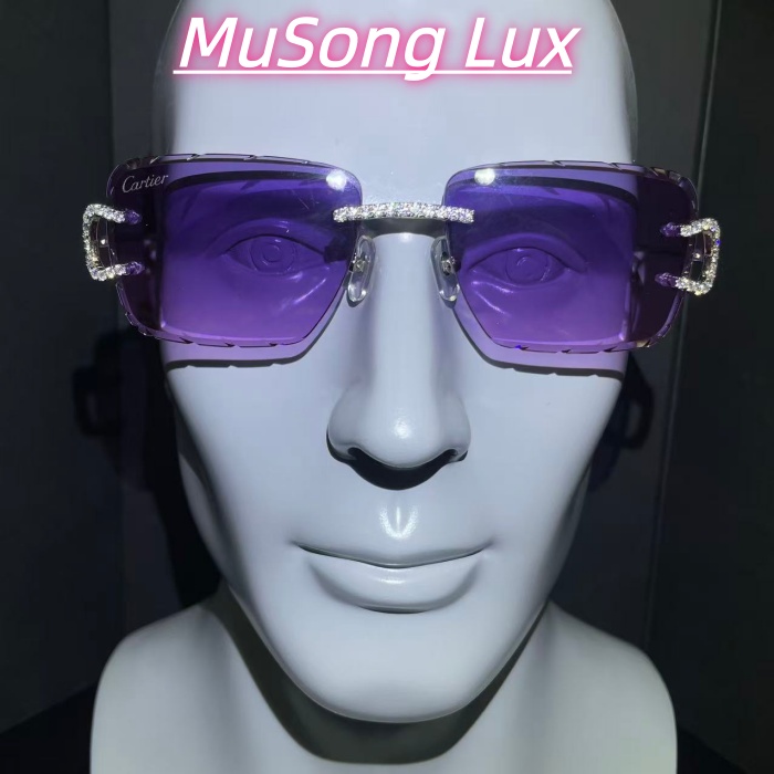 VVS Moissanite Cartier C glasses