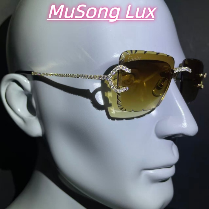 VVS Moissanite Cartier C glasses