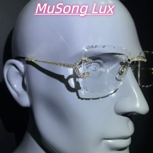 VVS Moissanite Cartier C glasses