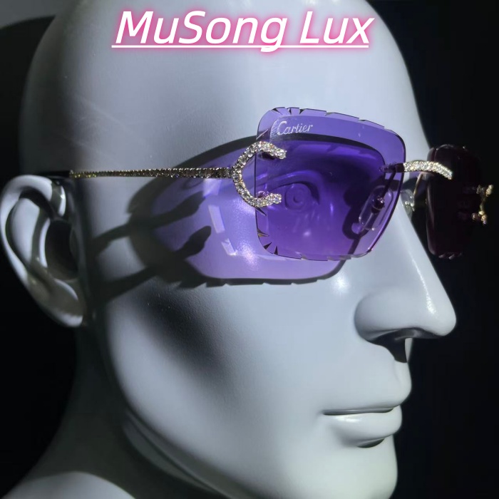 VVS Moissanite Cartier C glasses