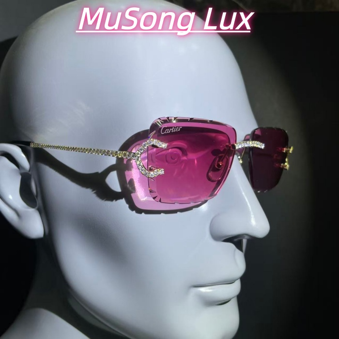 VVS Moissanite Cartier C glasses